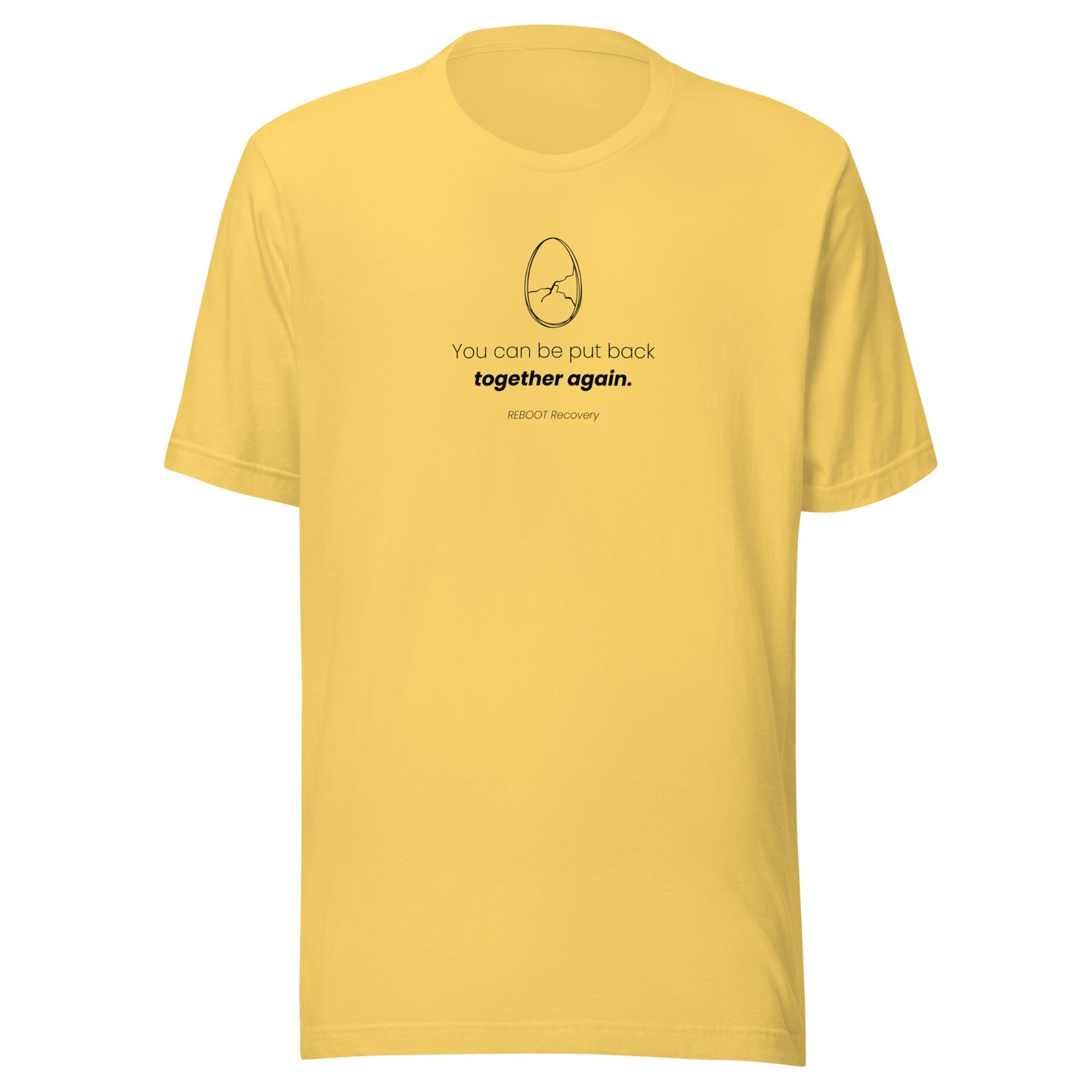 SESSION 5: You Aren't Humpty Dumpty T-Shirt